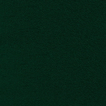 Leatherette